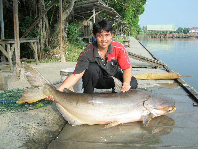 บึกเงาน้ำ โดยทีงาน  TRUE Online Fishing