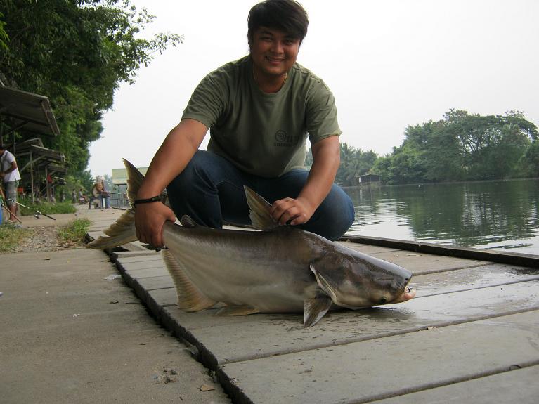 บึกเงาน้ำ โดยทีงาน  TRUE Online Fishing