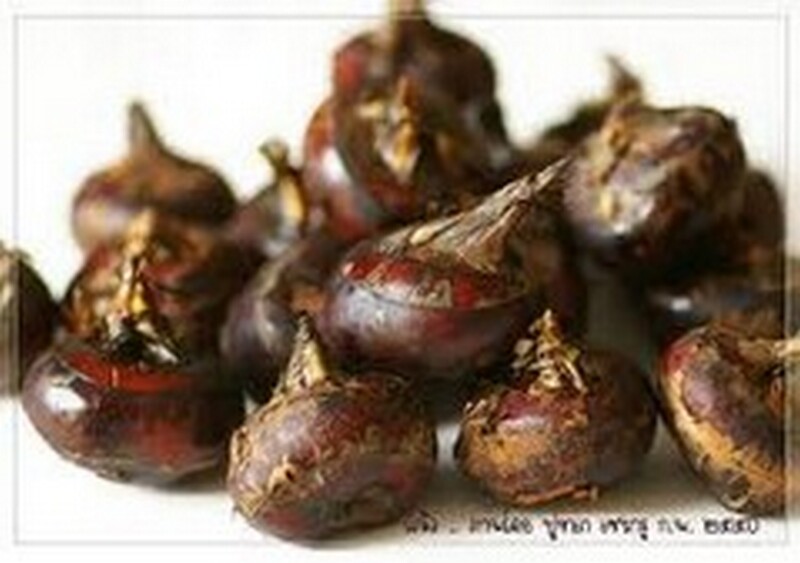 เอาคนแก่มาแต่งตัวใหม่ ภาค 2 