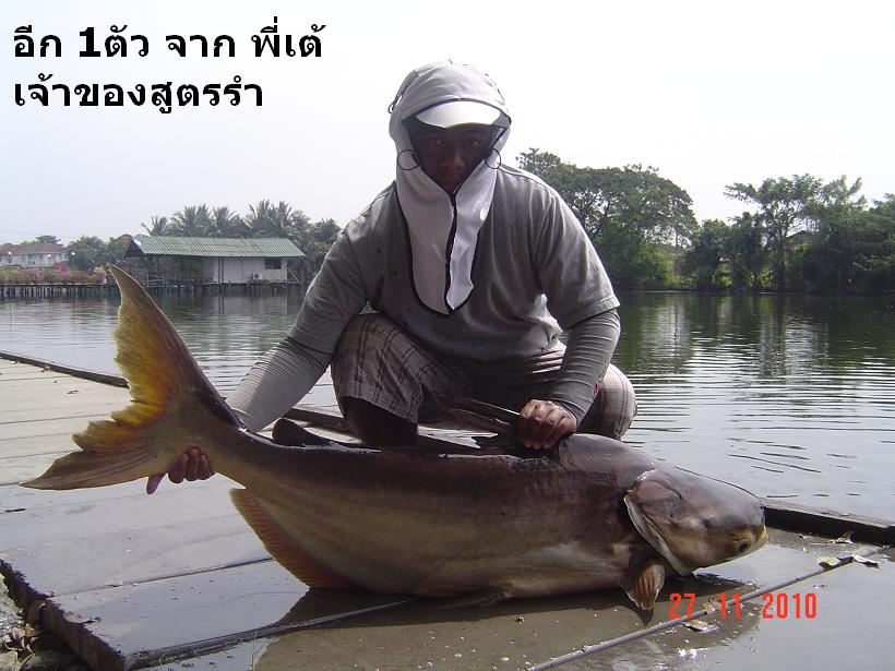 ปลาบึกจูบกันที่เงาน้ำ โดยทีมงาน TRUE Fishing