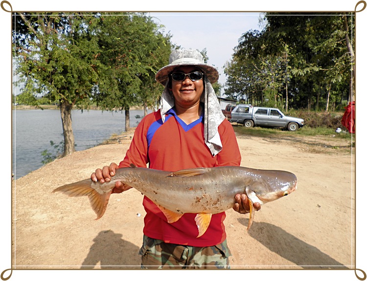 สัปดาห์แรกของ อ่างเก็บน้ำบึงสนม