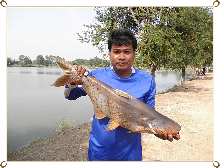 สัปดาห์แรกของ อ่างเก็บน้ำบึงสนม