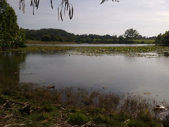 เลิกงานไปเล่นชะโดที่เก่า