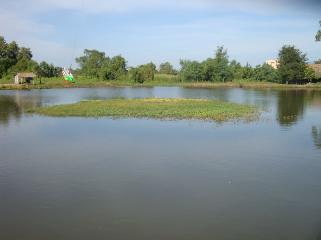 ทริพ ปลาช่อนวันอาทิตย์ที่  19/12/53 หมายปิด