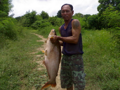 ตัวบักเอ้บบึงธรรมชาติ ณ ท่าลาน