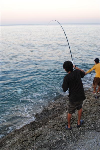 Tips For Rock Fishing 