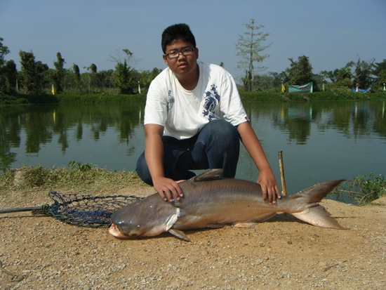 ปลาบึก 20 โลที่ > ดริ้งทีมลำปาง