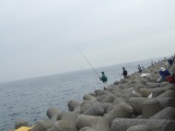 ตามดูญี่ปุ่นตกปลา