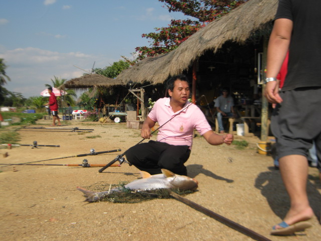 มาดูท่าเย่อกับปลา(ของแต่ละคน)กับผลงานกันครับ