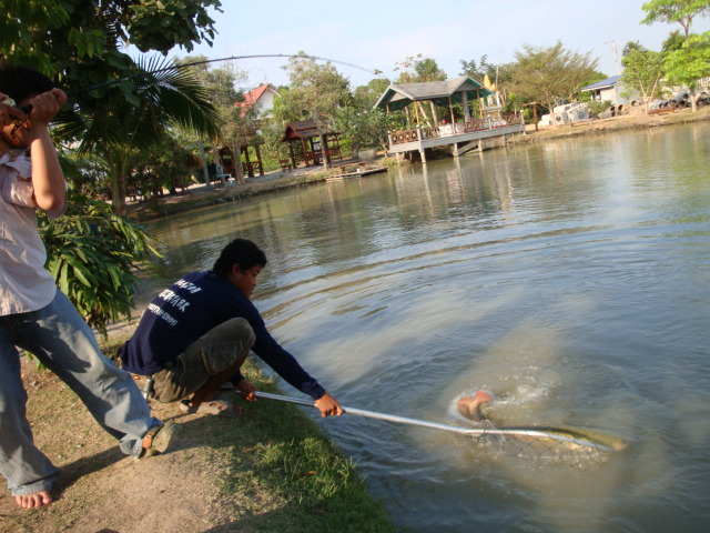 วันว่างๆๆ กับ อเมซอล(BKK) สาย 1 คับ