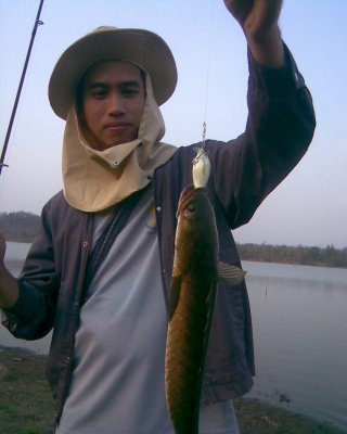 ปลานิล ปลาช่อน บ่อวังหมั้น จ.ตาก  Rapala Fat  Rap 