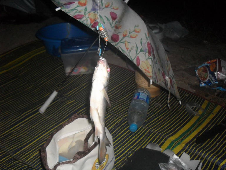 ครั้งแรกของการตกปลาตลอดคืน