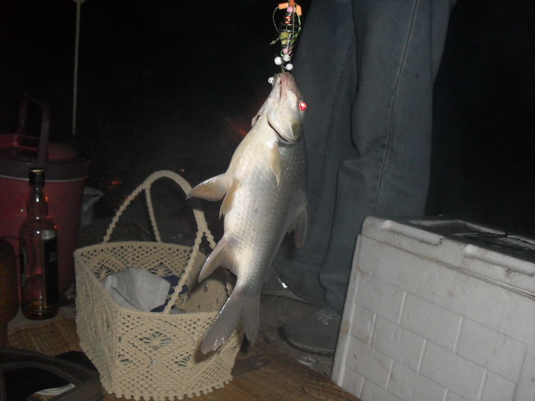 ครั้งแรกของการตกปลาตลอดคืน