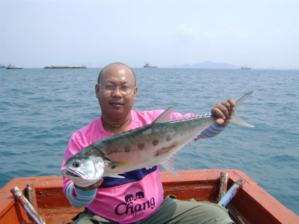 ทริปที่สองของปี  2554  ( เกาะสีชัง )
