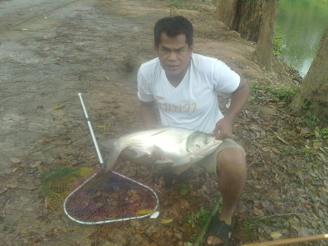 บึงน้ำกลัดพิจิตรยังมีดีอีกเยอะ : Fishing Photo