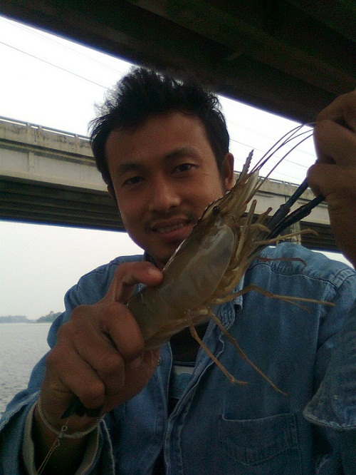 กุ้งใหญ่ยังมีภาค2 