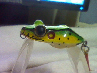 neew lure (top-water lure by a-p )