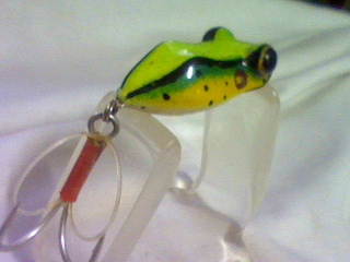 neew lure (top-water lure by a-p )