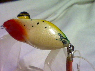 neew lure (top-water lure by a-p )