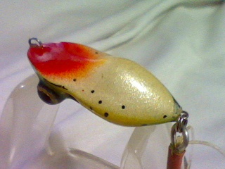 neew lure (top-water lure by a-p )