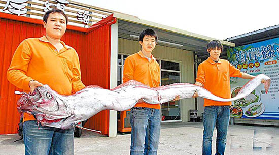 ชาวประมงไต้หวันจับได้ ปลาแผ่นดินไหว