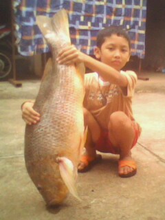 ท่านใดสนใจร่วมทริป สตูล กับเรือบังหลี