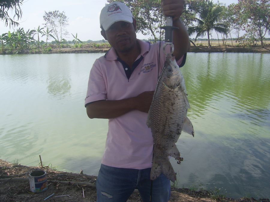 ปลาเกล็ดไซ้ด์งามงาม @......บ่อภิรมย์ มีนบุรี