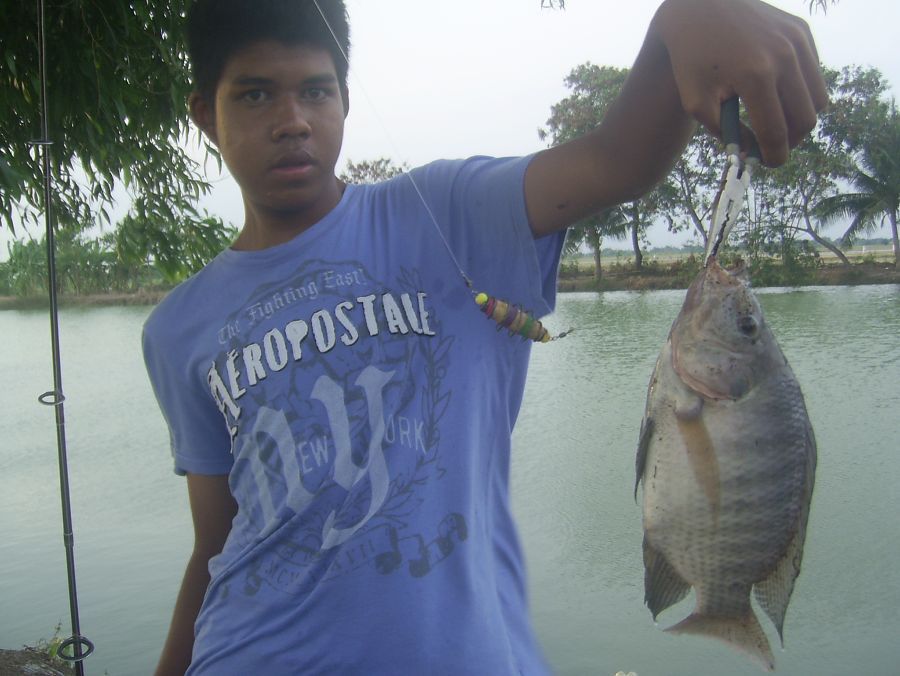 ปลาเกล็ดไซ้ด์งามงาม @......บ่อภิรมย์ มีนบุรี