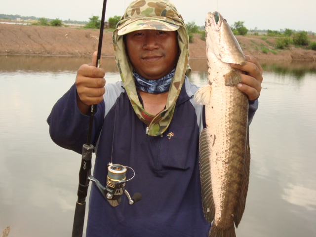 ทริพพิเศษ ช่อนยักษ์ บ้านสร้าง (ปิดแล้วคร้าบบบ...)