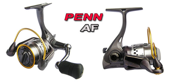   เปรียบมวย PENN  AF กับ RYOBI ZAUBER 