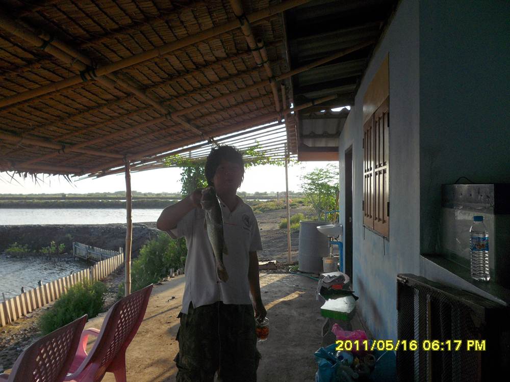 +++จันทร์-อังคารที่ "บ่อน้องพลอย"+++