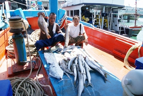 ปลากิน แบตหมด อดถ่าย กับเรือ สินสายสมุทร