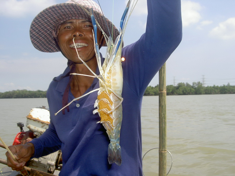 ตกปลาหางกิ่ว +  ตกกุ้ง  เรือไต๋ ไก่   ท่าสะอาน 