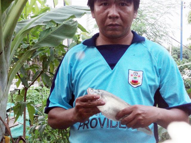 คดีเด็ด คิดว่าฉลาดหนีตามแหหมด
