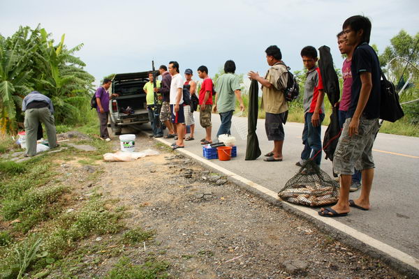 จัดเต็มบางไทร 2