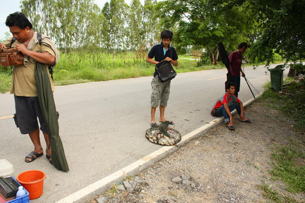 จัดเต็มบางไทร 2