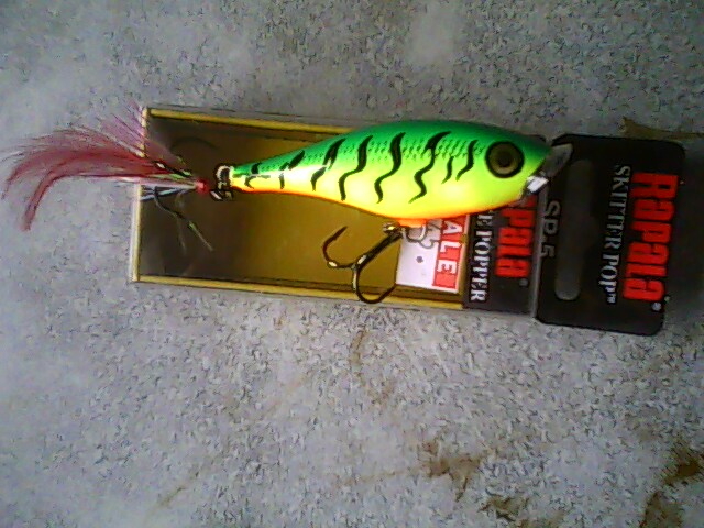 วิธีตี Rapala Skitter Pop