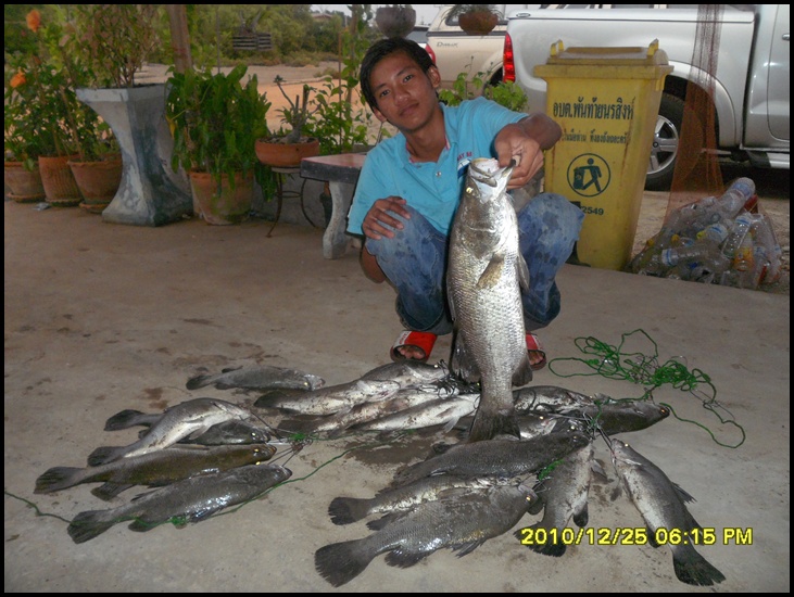 @@@@  น้องพลอย  @@@@