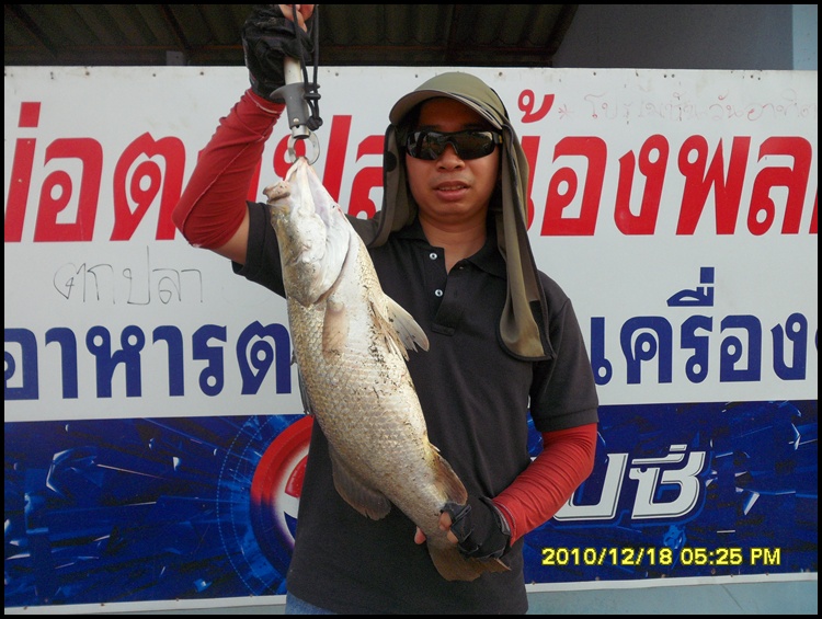 @@@@  น้องพลอย  @@@@