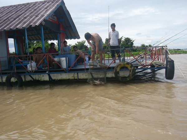 บางไทร คืนชีพ