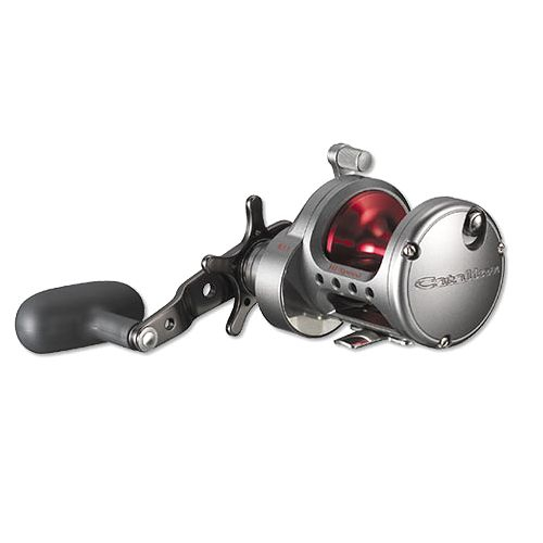 daiwa catalina 20H VS  Daiwa Saltist 20H