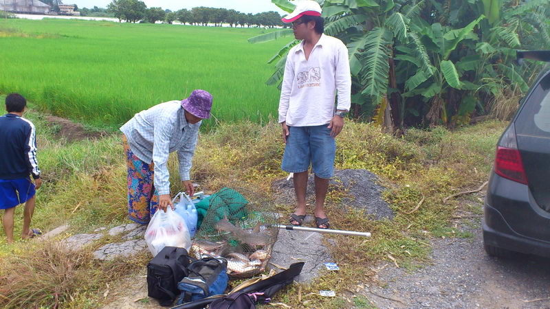 บางไทร ยังแจ่มอยู่