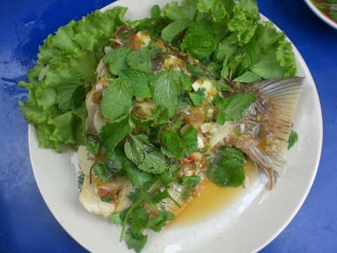 ปลาเปคู ครับผม