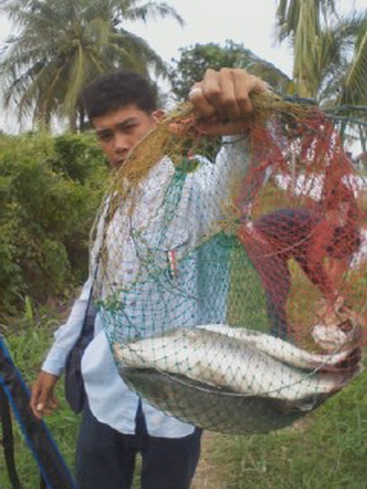 กระพงบุฟเฟ่ต์ ชวนชม อีกแล้วครับท่าน