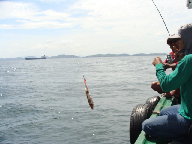 สีชัง ชังแต่ชื่อ ครั้งที่4 ปลาเล็กปลาน้อย