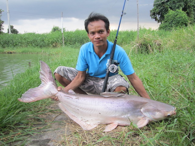 พรัชพริ้ง 100 เดียวเสียวทั้งวัน