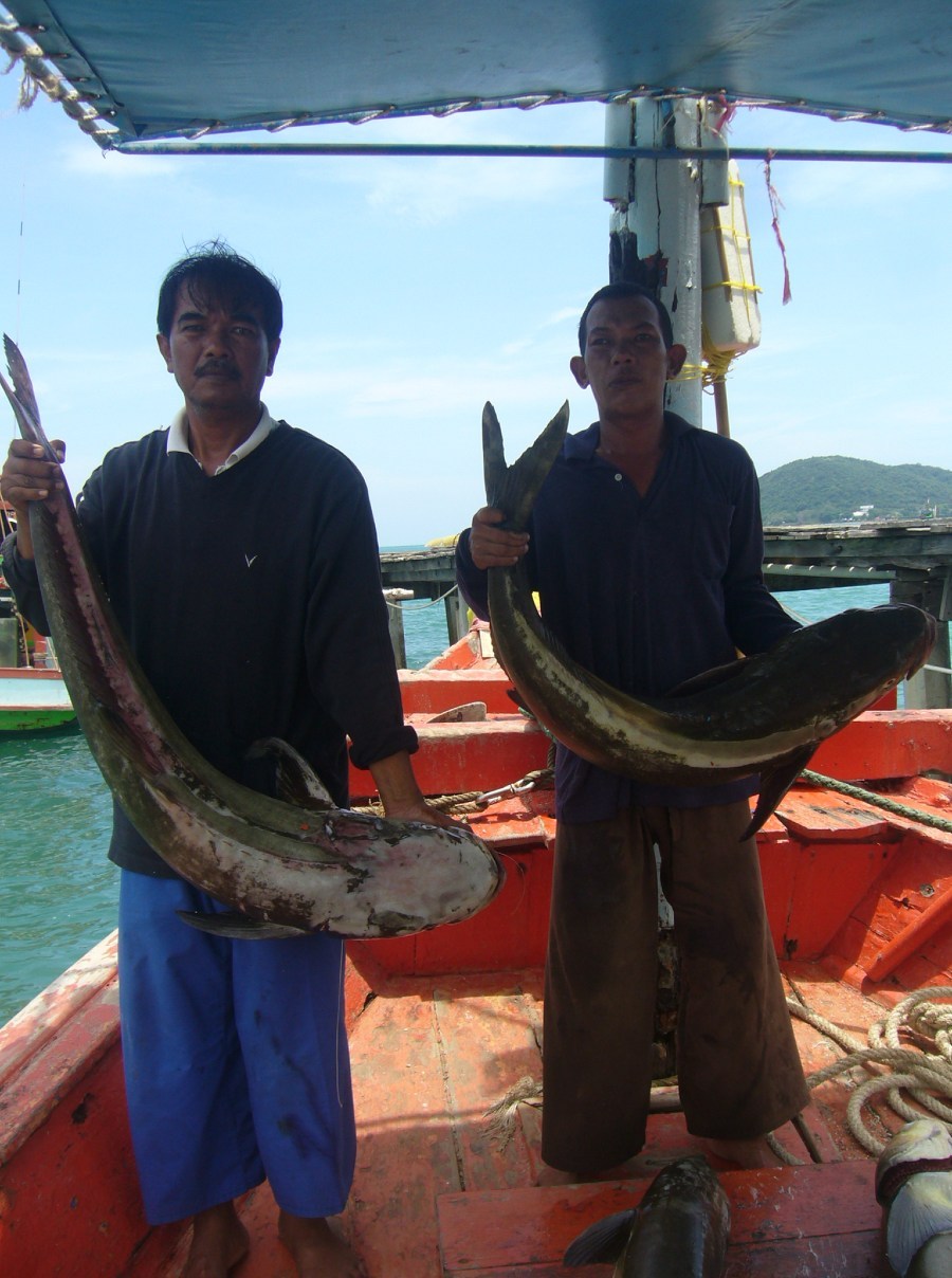 UPขาด1ท่านหมายใน เรือไต๋สมชาย(สัพหีบ)