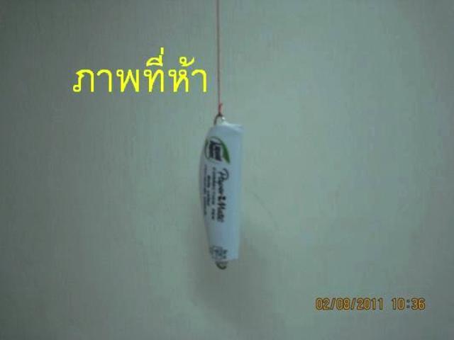 นักลบกลายพันธ์