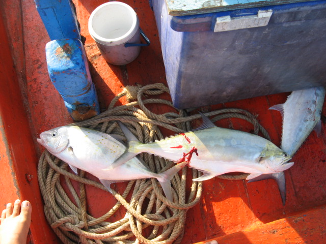 หาเพื่อนตกปลาไต๋สมชาย�วันที่ 24-25 กันยายน 