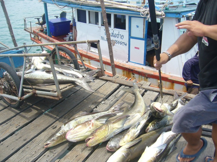 (เต็ม)ทริพตกปลาไต๋สมชาย(สัพหีบ)7ต.ค